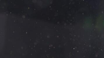 flutuando poeira partículas dentro Sombrio ambiente. abstrato espaço textura. bokeh efeito em microscópico elementos para fundo imagens de vídeo. video