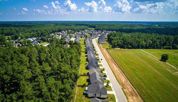 Aerial view of suburban neighborhood featuring rows of houses surrounded by lush greenery and open fields. scene conveys sense of tranquility and community photo
