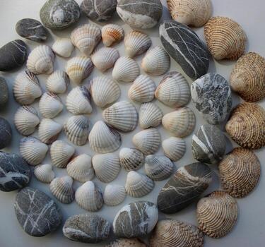 Conceptual photo of a circular pattern of variety sea shells and round pebbles stones at a side of photo