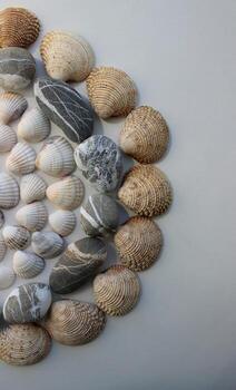 Variety Seashells And Smooth Pebbles Lined Out In A Circle At A Side Of Image photo