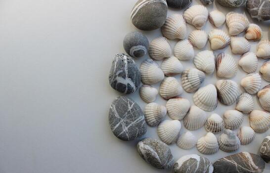 Conceptual photo of a circular pattern of shells and round sea stones at a side copy space image