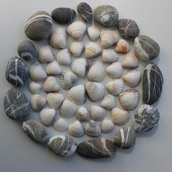 Circular pattern of lined shells inside a ring of sea stones square stock photo