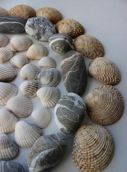 Part Of Round Pattern Of Different Shells And Sea Stones Isolated On White photo