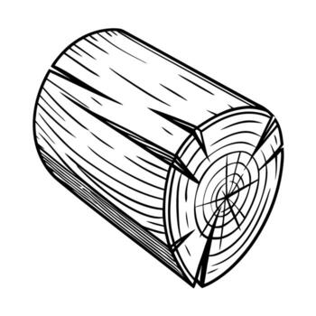 árbol Iniciar sesión ilustración negro y blanco mano dibujado madera madera sección, árbol maletero cruzar sección, silvicultura naturaleza elemento vector