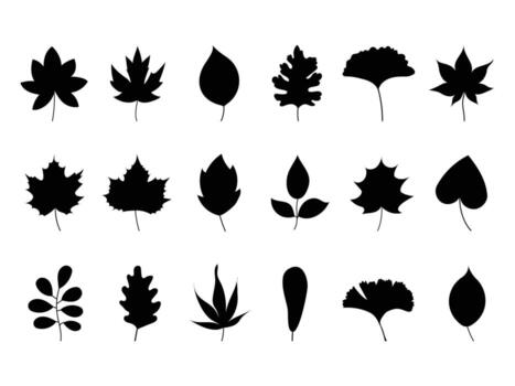 Set of autumn leaf silhouettes. Collection of black foliage shapes in flat minimal style. botanical elements for seasonal fall design, isolated on white background. vector