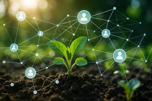 symbolic image of green seedling with digital network overlay representing collaborative smart farming system and data driven agricultural ecosystem photo