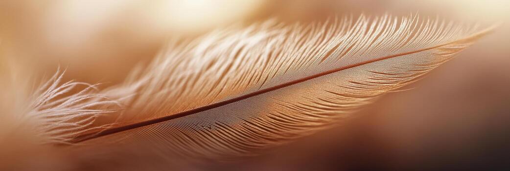 Close-up of a delicate feather with soft brown hues and intricate details photo