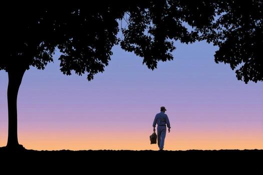 Man walking under tree silhouette at sunset with colorful sky and peaceful atmosphere photo
