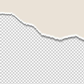 Torn Paper Edge effects in light colure background vector