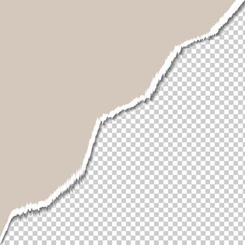 Torn paper corner effect background vector