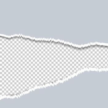 Torn Paper Edge effect Background vector