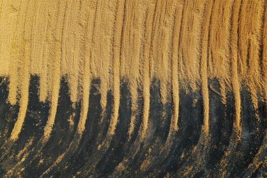 A surfboard with a wave pattern on it photo