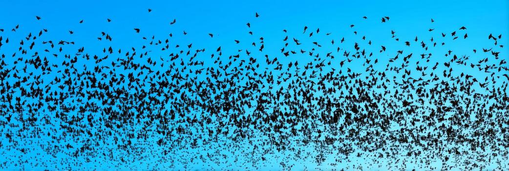 Flock of Birds in Flight Against a Clear Blue Sky Capturing the Grace and Freedom of Nature in Motion photo