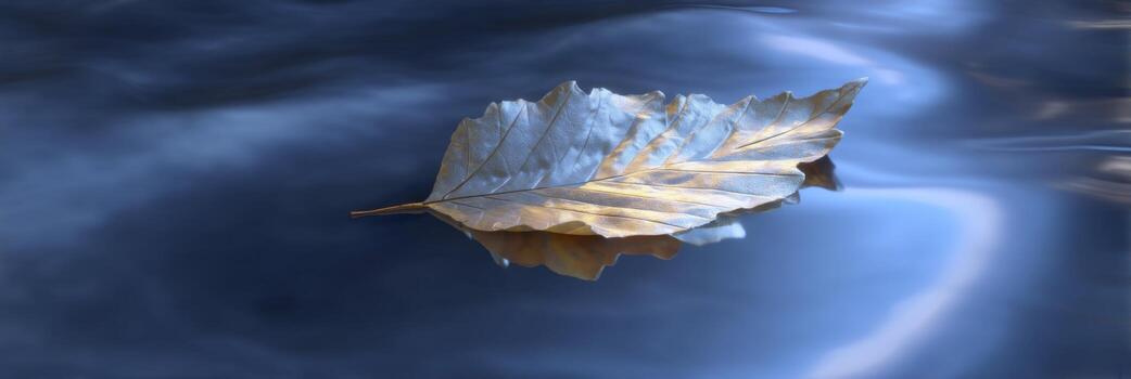 Single Golden Leaf Floating on Calm Blue Water Surface Reflecting Light in Nature, Serenity, and Peaceful Environment photo