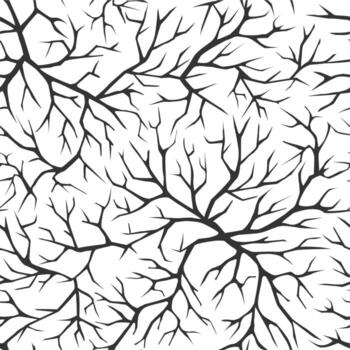 Monochrome black and white seamless pattern with tree branches vector