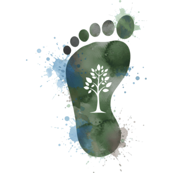 acquerello orma con un' albero dentro e acquerello spruzzi su un' solido colore tela Visualizza su trasparente sfondo png