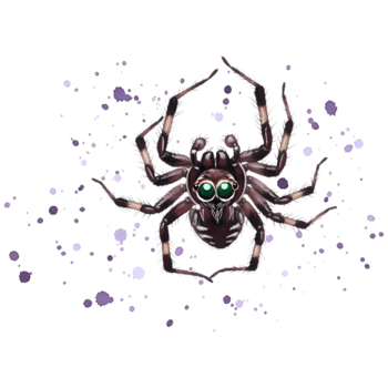 un web con agua gotas es visible en contra un sin rasgos distintivos vacío, creando un delicado y etéreo escena en transparente antecedentes png