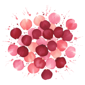 arreglo de rosado y rojo pétalos creando un circular forma en un llanura de colores superficie diseño elemento en transparente antecedentes png