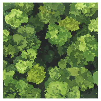 Aerial view of treetops with varying shades of green creating a dense canopy appearance from above on transparent background png