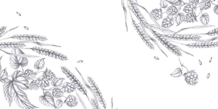 rettangolare telaio con orecchie di Grano e rami di luppolo. isolato matita illustrazione nel realistico stile per bar disegno, vino elenco, interno disegno, stampa su pubblicità opuscoli, etichette. png