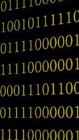 binario codice matrice su un' digitale schermo, avvicinamento di raggiante giallo binario cifre su un' nero schermo, simboleggiante digitale dati, verticale metraggio video