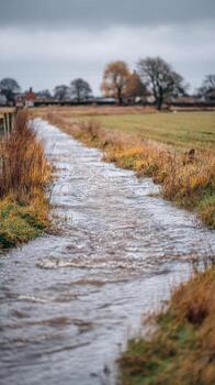 Flooded Rural Path With Overcast Sky And Distant Trees. Nature'S Impact On Countryside Landscape photo