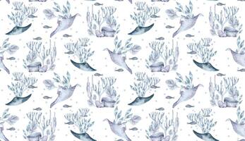 acuarela sin costura modelo de submarino criaturas y mar plantas aislado. suave azul monocromo marina vida elementos rayo pez, algas mano dibujado. mar mundo en botánico textura y rayo pescado vector