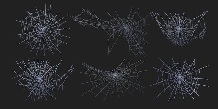 Spooky halloween old cobwebs with various sizes and shape. Old spider web set flat illustration. vector