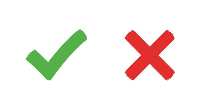 Two check marks are shown on a white background vector