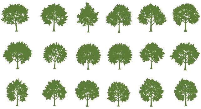 A set of trees with different shapes vector