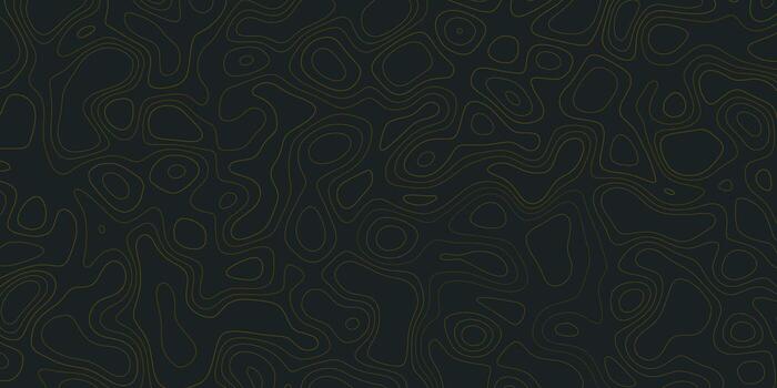 Abstract topographic pattern in dark shades showing fluid, curved lines that evoke a sense of depth and movement vector