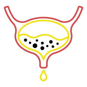 Urinary bladder, ureter and urethra icon. Urinary system. Flat design, linear and color styles. Isolated illustrations vector