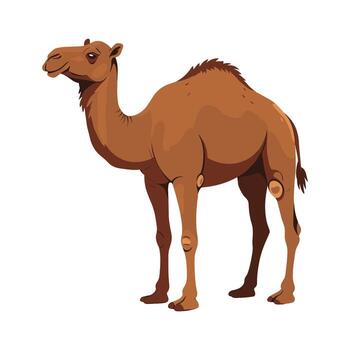 Illustrated camel side view of a bactrian camel with brown fur vector