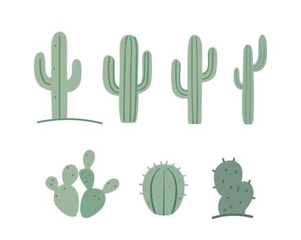 Collection of Stylized Green Cacti with Distinctive Shapes and Textures. vector