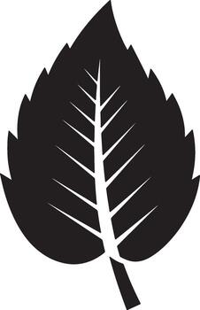 Serene Black Silhouette of a Single Leaf, Elegant Nature Icon, Simple Botanical Design, Isolated on White Background vector