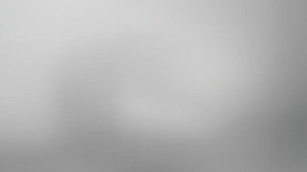 A soft, blurred image featuring shades of gray, creating a minimalist and abstract atmosphere.white gray gradient background vector
