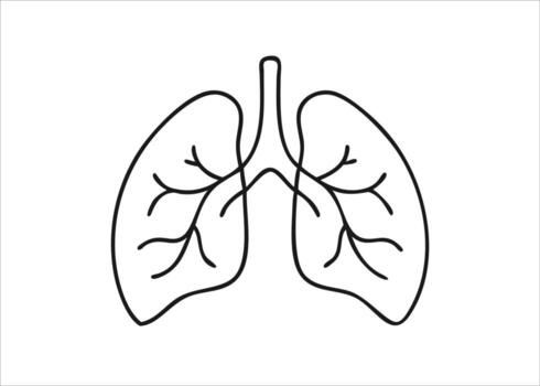 A single continuous line art drawing of human lungs showing intricate internal structure and external form isolated on white background vector
