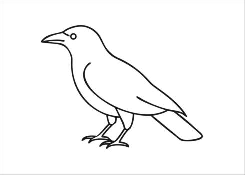 A striking black silhouette of a crow in flight a singular avian form presented cleanly isolated on white background vector