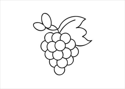 Elegant stylized grape cluster line art sketch featuring a single fruit bunch in black ink isolated on white background vector