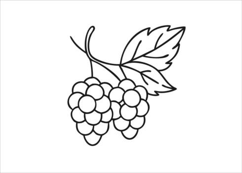 mano dibujado bosquejo de un delicado frambuesa de colores sostén con intrincado detallado aislado en blanco antecedentes vector