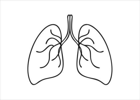 Artistic single continuous line drawing of human lungs in a minimalist style isolated on white background vector