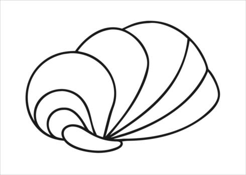 A single continuous line art drawing of a delicate sea shell showcasing its intricate spiral form isolated on white background vector