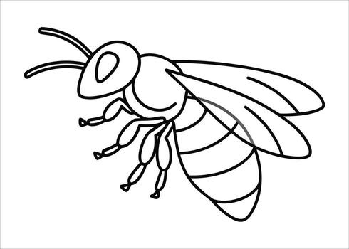 Minimalist single line art depicting a flying insect in a simple elegant style vector