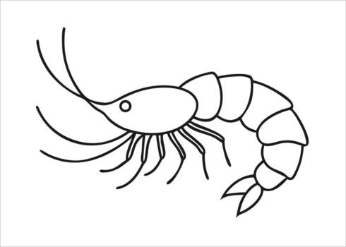 A stark simplified line drawing depicts a solitary black crustacean rendered with clean lines presented isolated on white background vector