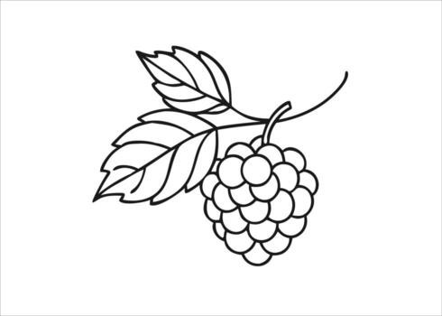 un detallado mano dibujado bosquejo de un delicado frambuesa de colores prenda interior con intrincado cordón detalles aislado en blanco antecedentes vector