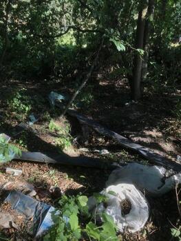 Trash accumulation in a dense forested area during daytime photo