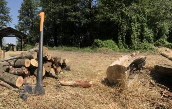 Logs are stacked near a chopping axe in a sunny field photo
