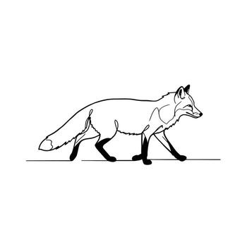 How to draw a fox step by step vector