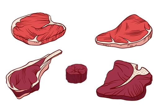 illustration of five raw steak cuts, ribeye, sirloin, T-bone, tomahawk and filet mignon, with bold outlines on a white background. vector