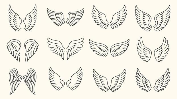 Elegant winged designs for creative projects, symbolic graphic elements in a variety of styles vector